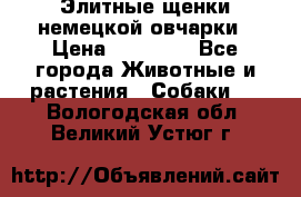 Элитные щенки немецкой овчарки › Цена ­ 30 000 - Все города Животные и растения » Собаки   . Вологодская обл.,Великий Устюг г.